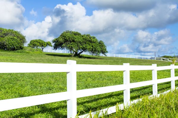 Fence Rail Replacement