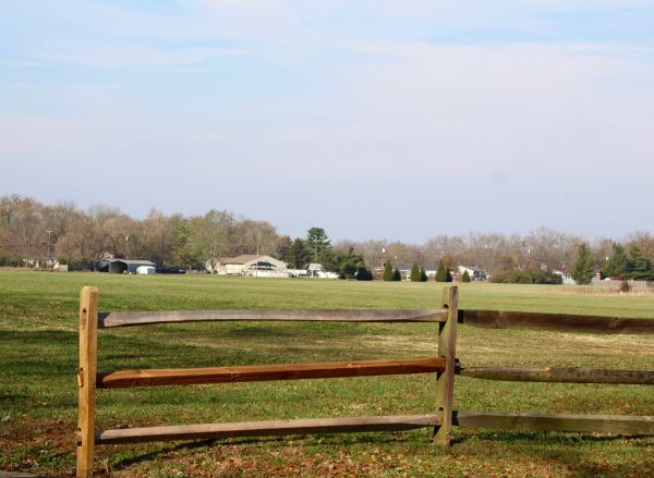 Cattle Fence Repair