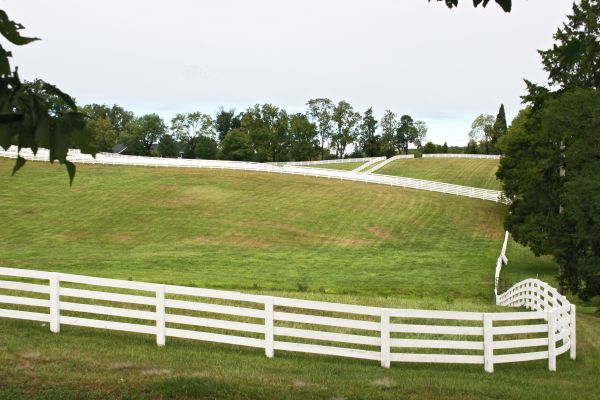 Livestock Fence Repair