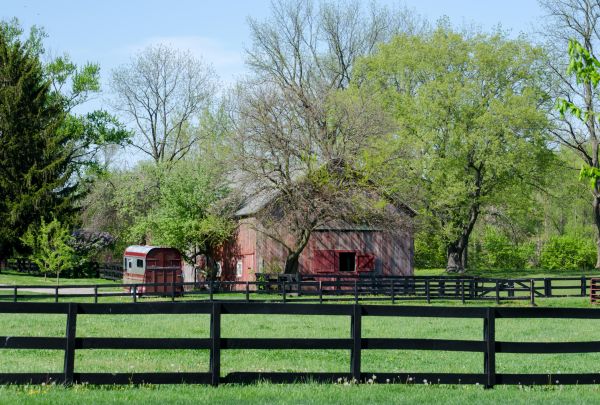 Horse Paddock Repair